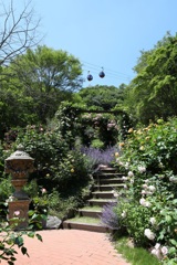 5月28日 布引ハーブ園 56