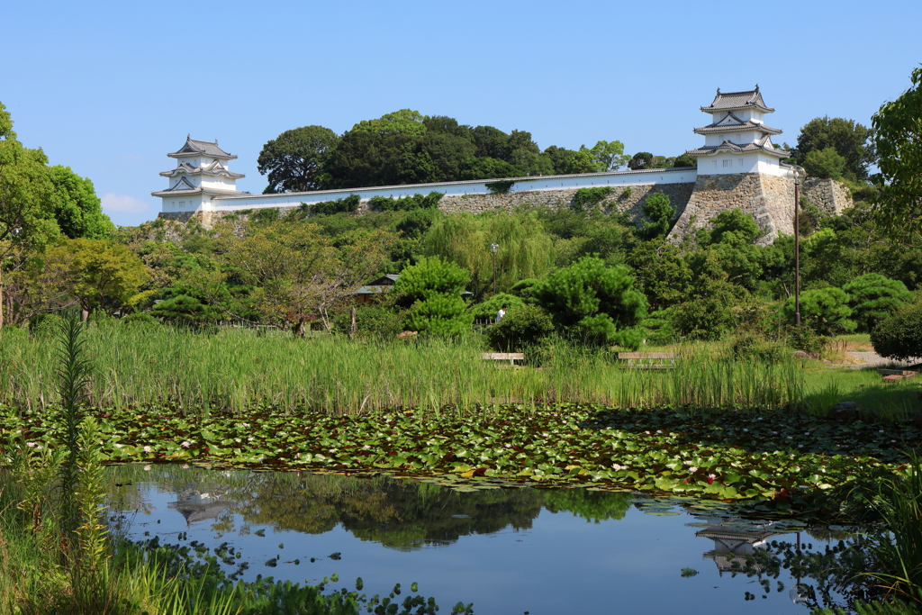 8月13日 明石公園 １