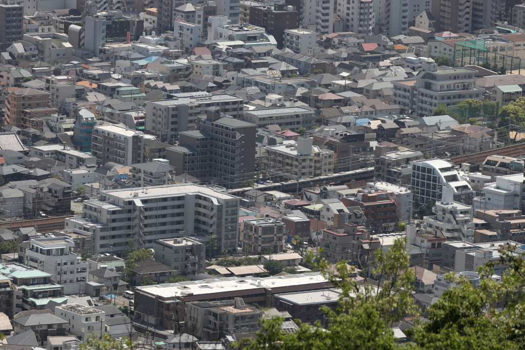 5月14日 長距離散歩 38