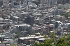 5月14日 長距離散歩 38
