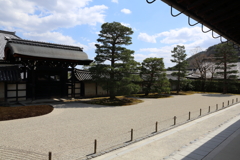 3月20日 京都嵐山 ５