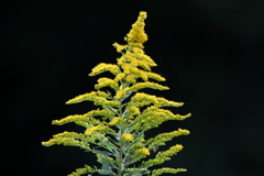 10月16日 明石公園 10