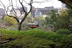 3月6日 相楽園 ７