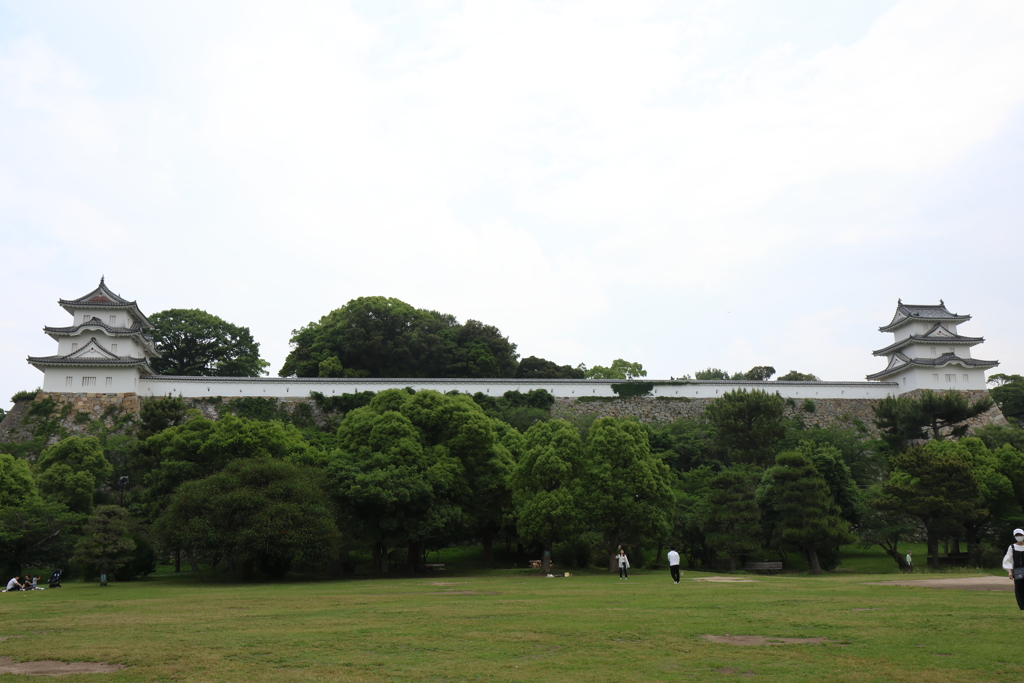 6月2日 明石公園 11