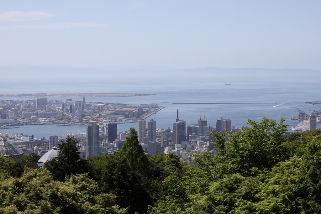 5月5日 布引ハーブ園 ２