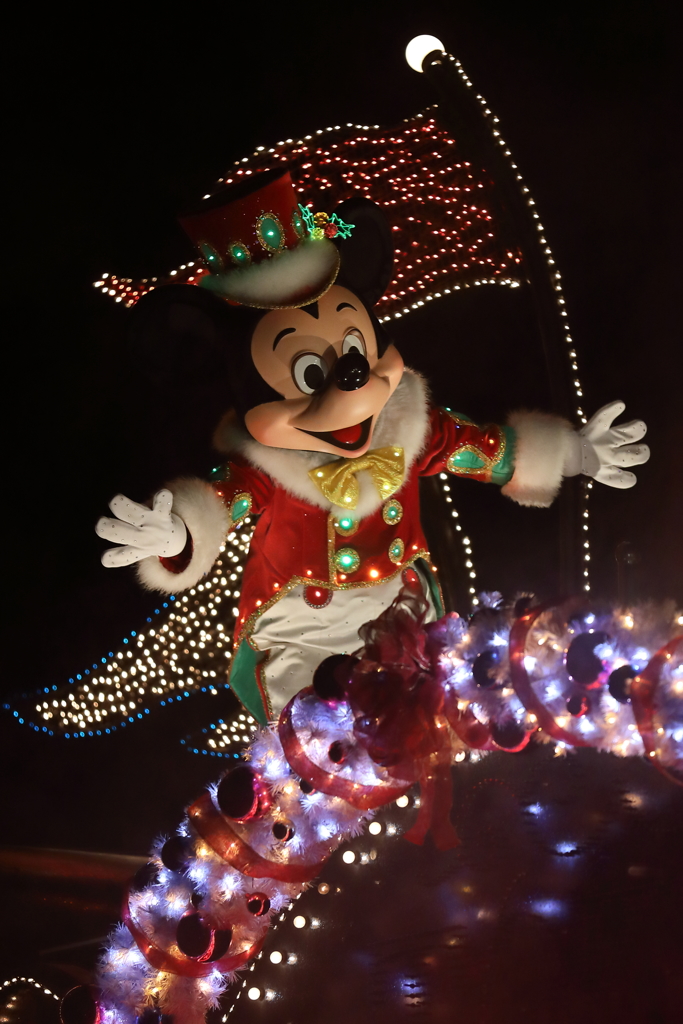 11月22日 東京ディズニーランド 76