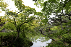 5月15日 相楽園 12