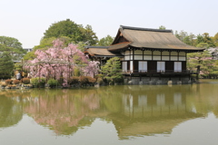 3月29日 京都 11