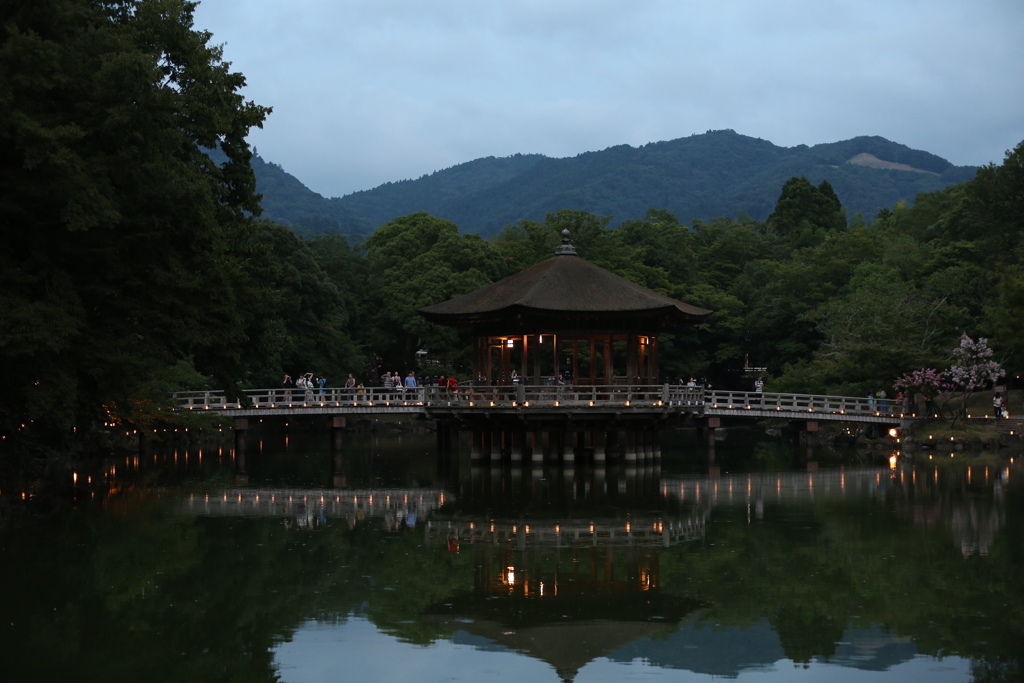8月5日 なら燈花会 ３