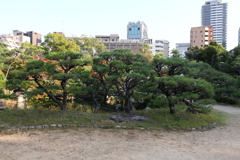 10月31日 相楽園 28