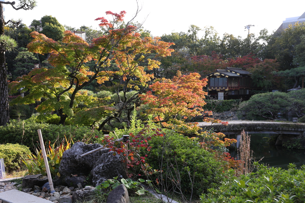 10月31日 相楽園 32