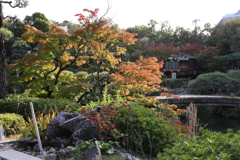 10月31日 相楽園 32