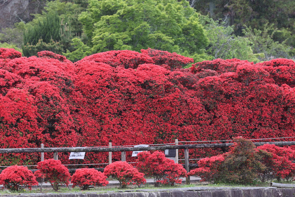 4月18日 長岡天神 11
