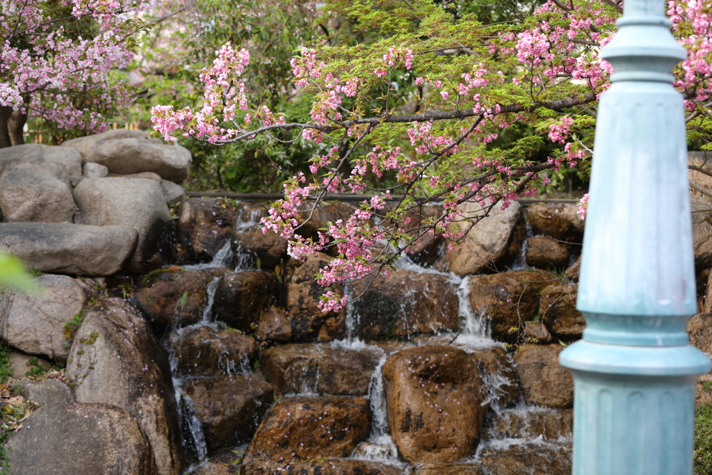 4月3日 岡本南公園 ９