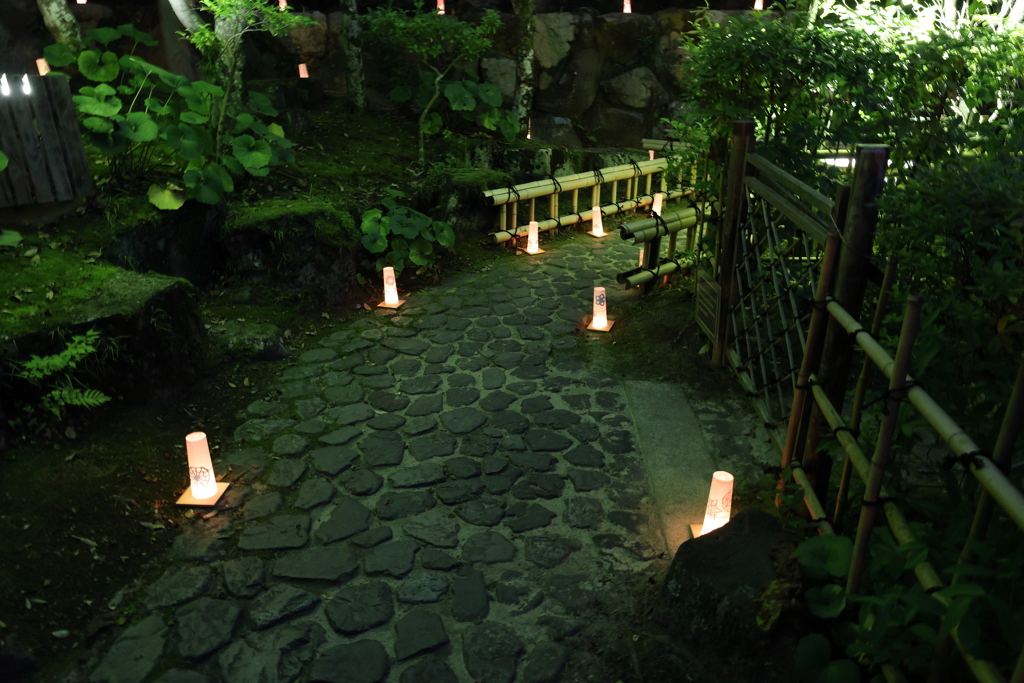 7月27日 相楽園 10