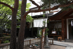 8月11日 松本 46