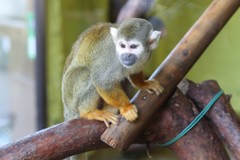 12月29日 枚方パーク 10