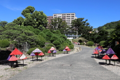 8月27日 相楽園 ３