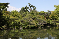 5月23日 相楽園 17