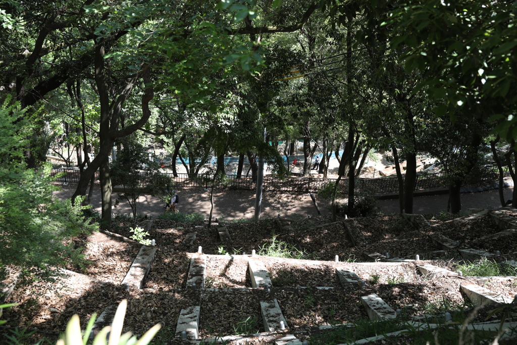 5月14日 長距離散歩 53