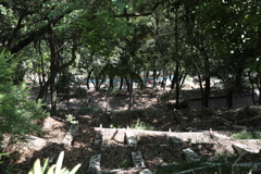 5月14日 長距離散歩 53