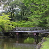 5月2日 奈良 13