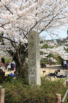 3月29日 京都 14 3月29日 京都 14