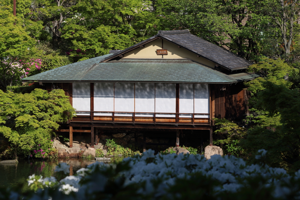 4月24日 相楽園 29