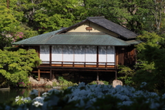 4月24日 相楽園 29