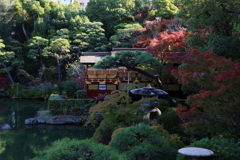 11月24日 相楽園 9 11月24日 相楽園 9