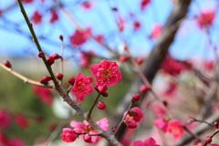 2月23日 岡本公園 １