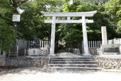 5月14日 長距離散歩 52