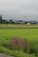 8月9日 松本 ２