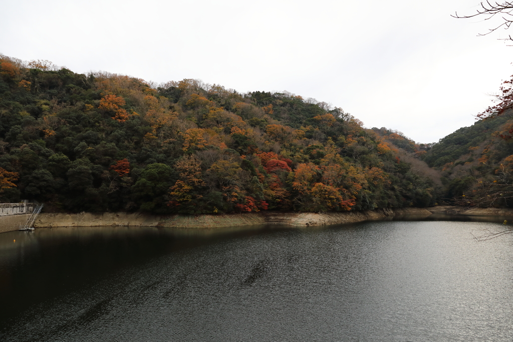 12月7日 布引の滝 19