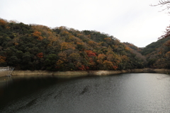 12月7日 布引の滝 19