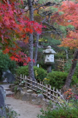 11月28日 相楽園 20