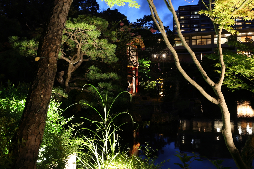 7月27日 相楽園 11