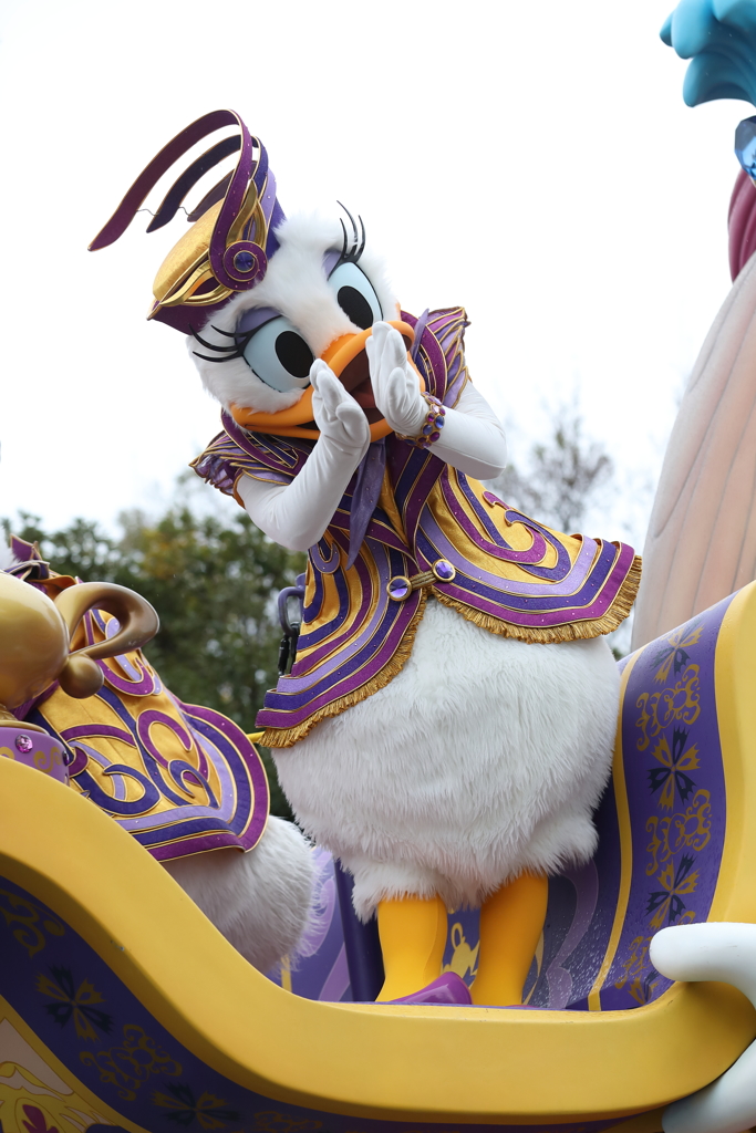 11月22日 東京ディズニーランド 26