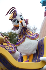 11月22日 東京ディズニーランド 26