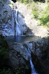 5月5日 布引の滝 ３