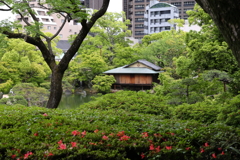 5月15日 相楽園 10