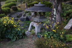 11月28日 相楽園 37