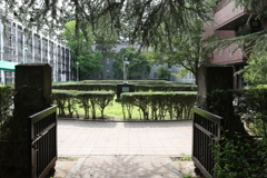 8月11日 松本 54