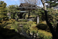 3月20日 京都嵐山 ８