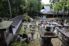 5月2日 奈良 35