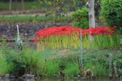 10月1日 明石公園 ２