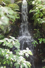 5月23日 相楽園 45