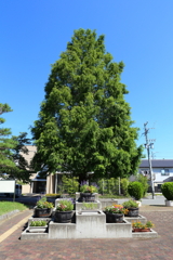 8月9日 松本 ５
