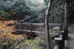 12月2日 布引の滝 5 12月2日 布引の滝 5