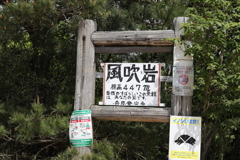 5月14日 長距離散歩 27